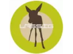 LASSIG