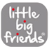 Little Big Friends