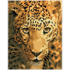 Διαμαντένια ταπισερί Diamond Dotz Jaguar, σε κορνίζα