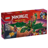 Κατασκευές LEGO Ninjago Ο πράσινος Δράκος του δάσους του Lloyd, 71829.