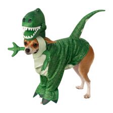 Κοστούμι Rubies REX TOY STORY 200616