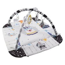 Βρεφική ενεργητική γυμναστική 4 σε 1 Azaria Happy Space Play Gym, με 20 μπάλες, διπλής όψης.
