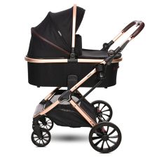 Καρότσι μωρού 2 σε 1 Lorelli Viola New.