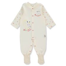 Βρεφική ολόσωμη φόρμα Bebetto Organic Cutie, 0-12 μηνών, T3736.