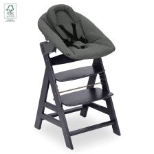Ξύλινη καρέκλα και ξαπλώστρα φαγητού Hauck Alpha+ Dark Grey