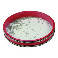 Παιδικό τύμπανο χειρός Claudio Reig Ocean Drum 28 εκατοστών.