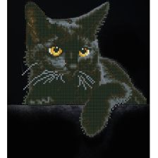 Διαμαντένια ταπισερί Diamond Dotz black cat,σε κορνίζα
