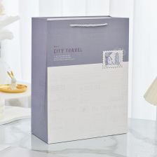 Χάρτινη σακούλα δώρου Raya Toys City Travel M, 24,5 εκατοστών.