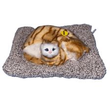 Διαδραστικό παιχνίδι κοιμισμένα Γατάκια Raya Toys, με ήχο.