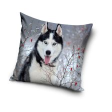 Μαξιλαροθήκη Carbotex Husky 40 x 40 εκατοστών.