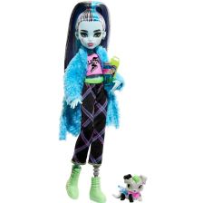 Κούκλα Mattel Monster High Frankie Stein & Watzie με αξεσουάρ και κατοικίδιο.