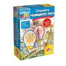 Μικρές ιδιοφυίες Lisciani Μάθετε το ανθρώπινο σώμα 68876