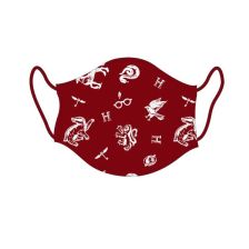 Μάσκα προσώπου Cerda Harry Potter για εφήβους.