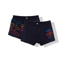 Παιδικά μποξεράκια Bebetto Dinosaurs, 2 τεμαχίων, 2-7 ετών, X050.