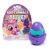 Φιγούρα έκπληξη Spin Master Hatchimals Alive Neon Rainbow, Συλλογή.