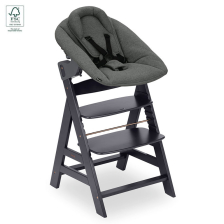 Ξύλινη καρέκλα και ξαπλώστρα φαγητού Hauck Alpha+ Dark Grey