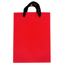 Χάρτινη τσάντα δώρου Raya Toys 19,5 εκατοστών.