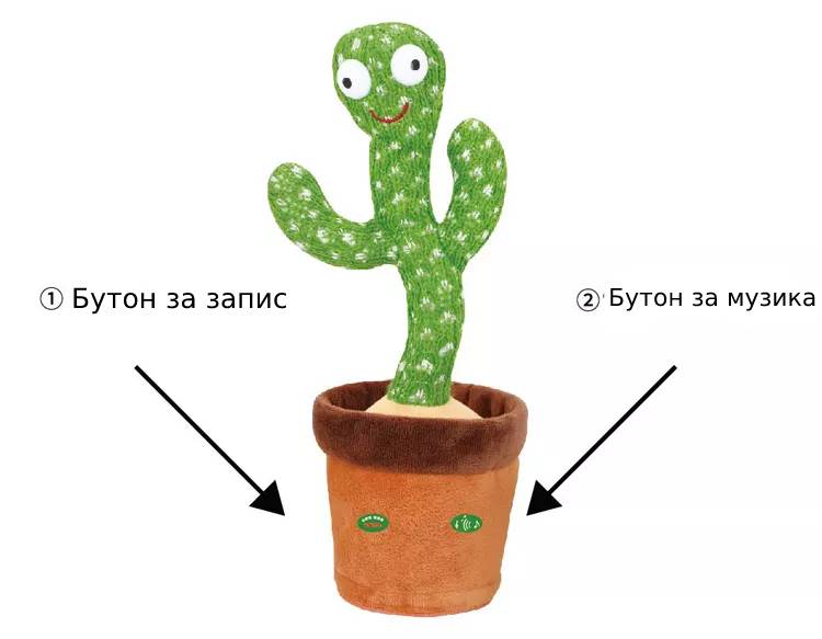 Забавна играчка, която гарантира забавление за дълго време с множеството си функционалности. Плюшеният кактус може да повтаря всички Ваши думи, докато весело танцува и премигва с пъстроцветни светлинки (необходимо е да включите превключвателя в долната част). Играчката разполага и с музикална функция - натискайки бутона долу вдясно се активира възпроизвеждането на различни популярни песни, които кактусът ще изпълнява, докато танцува и мига с весели светлинки. Играчката ще насърчава детето да пее и танцува и ще го разсмива със забавното си повторение на думи със смешен глас. Кактусът разполага с презареждаема батерия, която можете да презаредите с включения USB кабел. Време за игра: 1 час; време за зареждане: 3 часа. Размери: 31.5 х 12.5 см Подходящо за деца над 3-годишна възраст.
