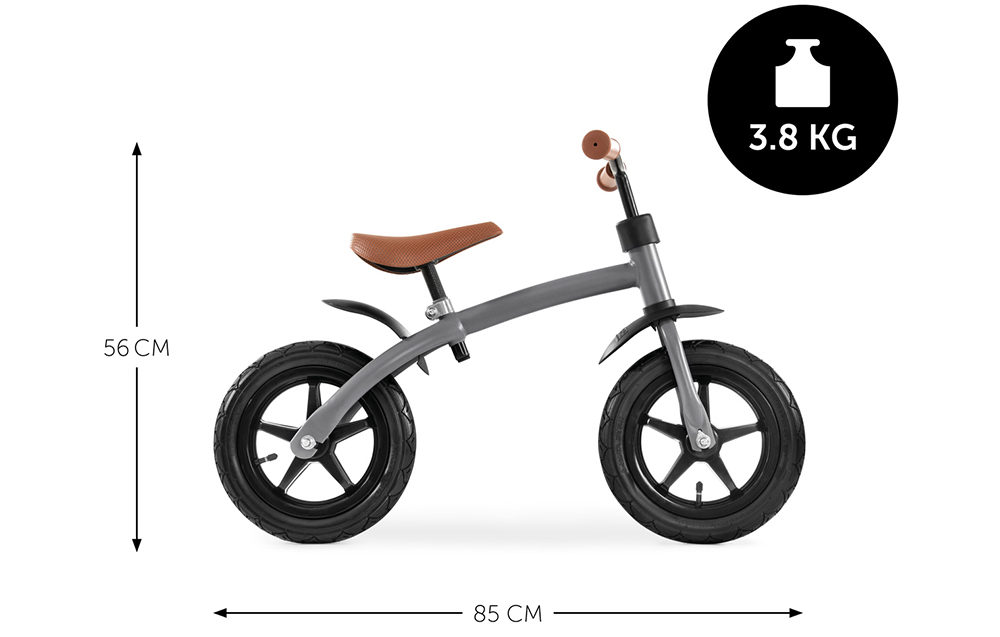EZ Rider 12 Matt Grey